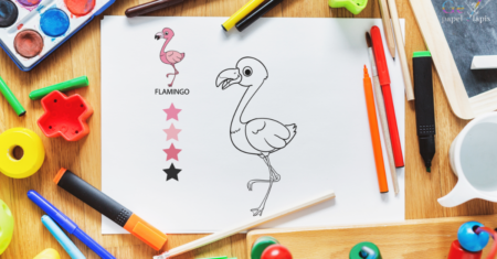Como Colorir Flamingo : Dicas para Seguir a Imagem